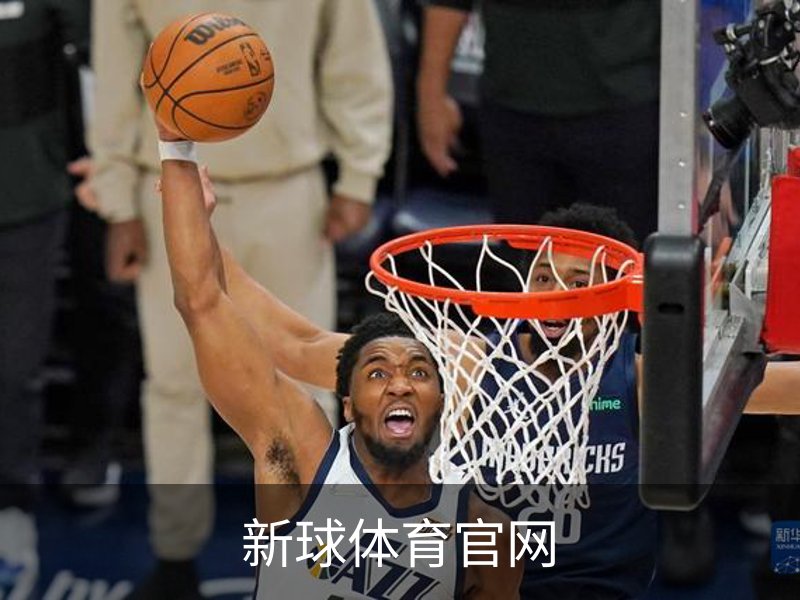 新球体育官网简介